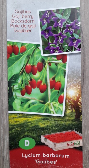 Goji bessen :: Homemade Homegrown by Bianca