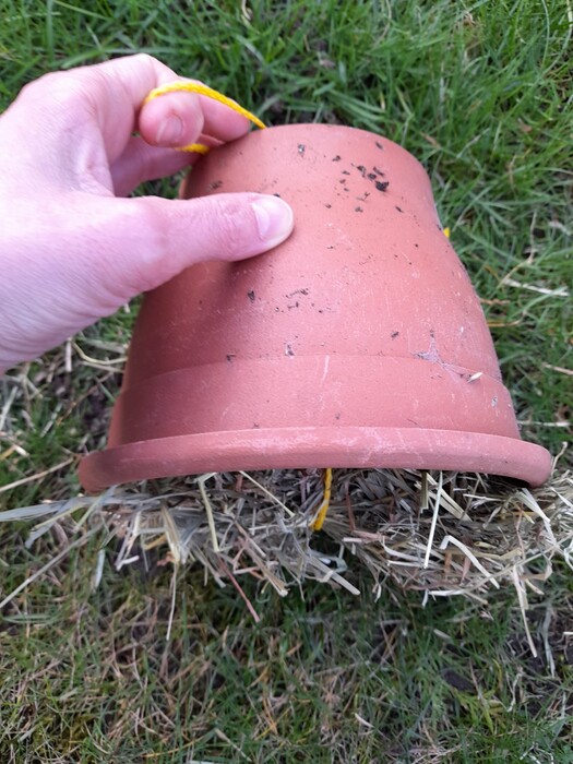Oorwormpot maken :: Homemade Homegrown by Bianca