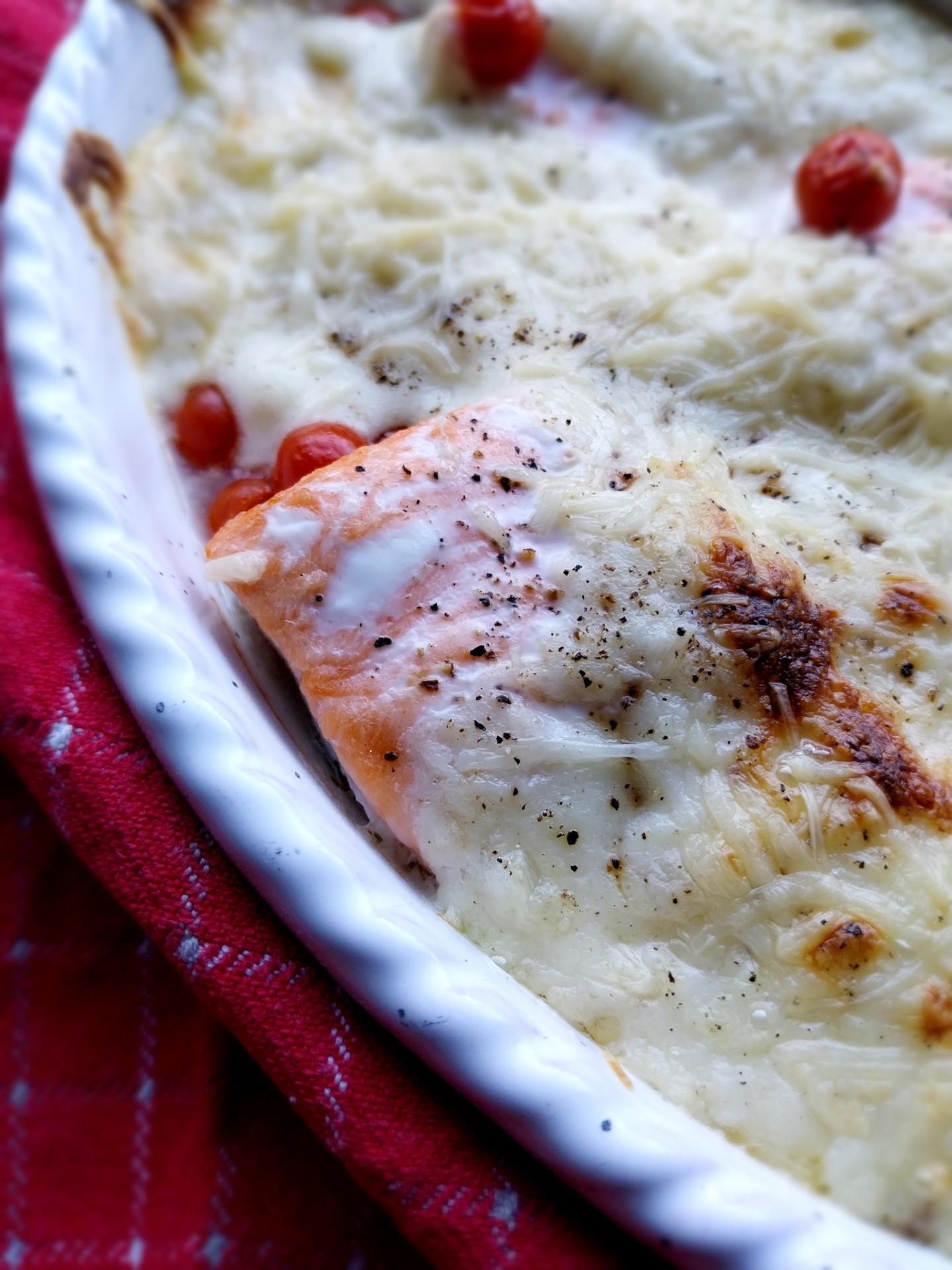 Zalmgratin met tomaten