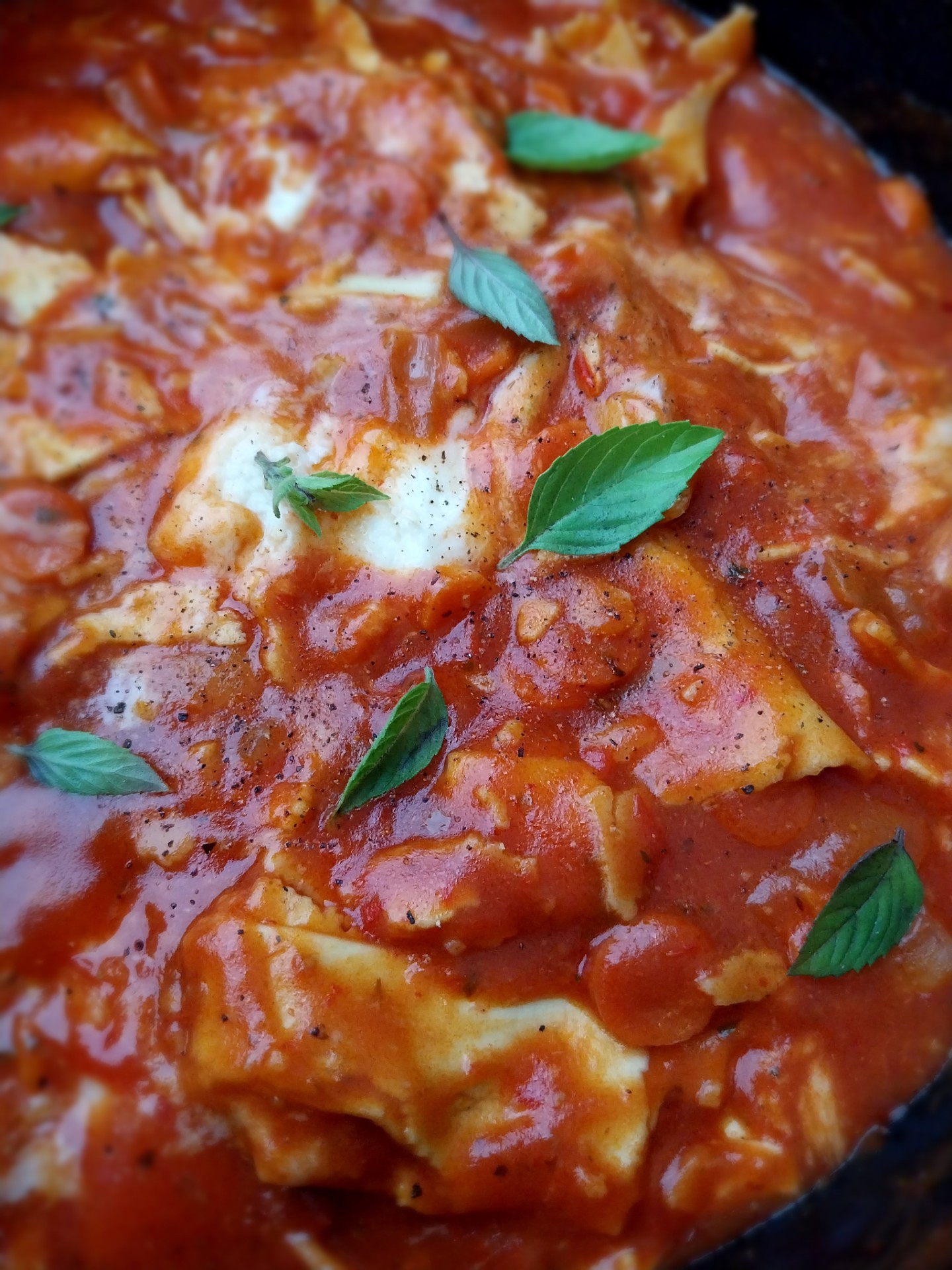 Panlasagna met Zwisterse kaas