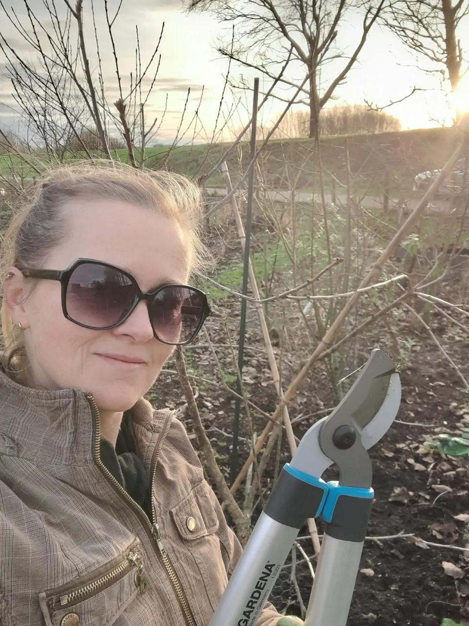 Wintersnoei voor een gezonde groei