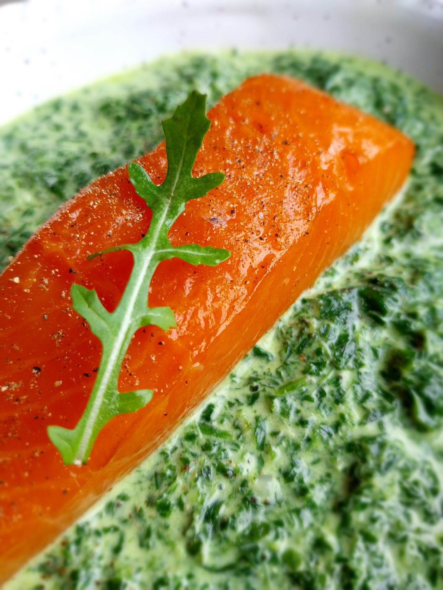 Zalm met rucolasaus