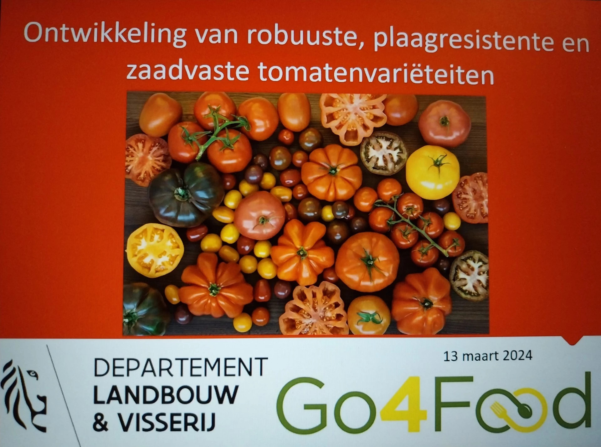 Robuuste tomatenproject