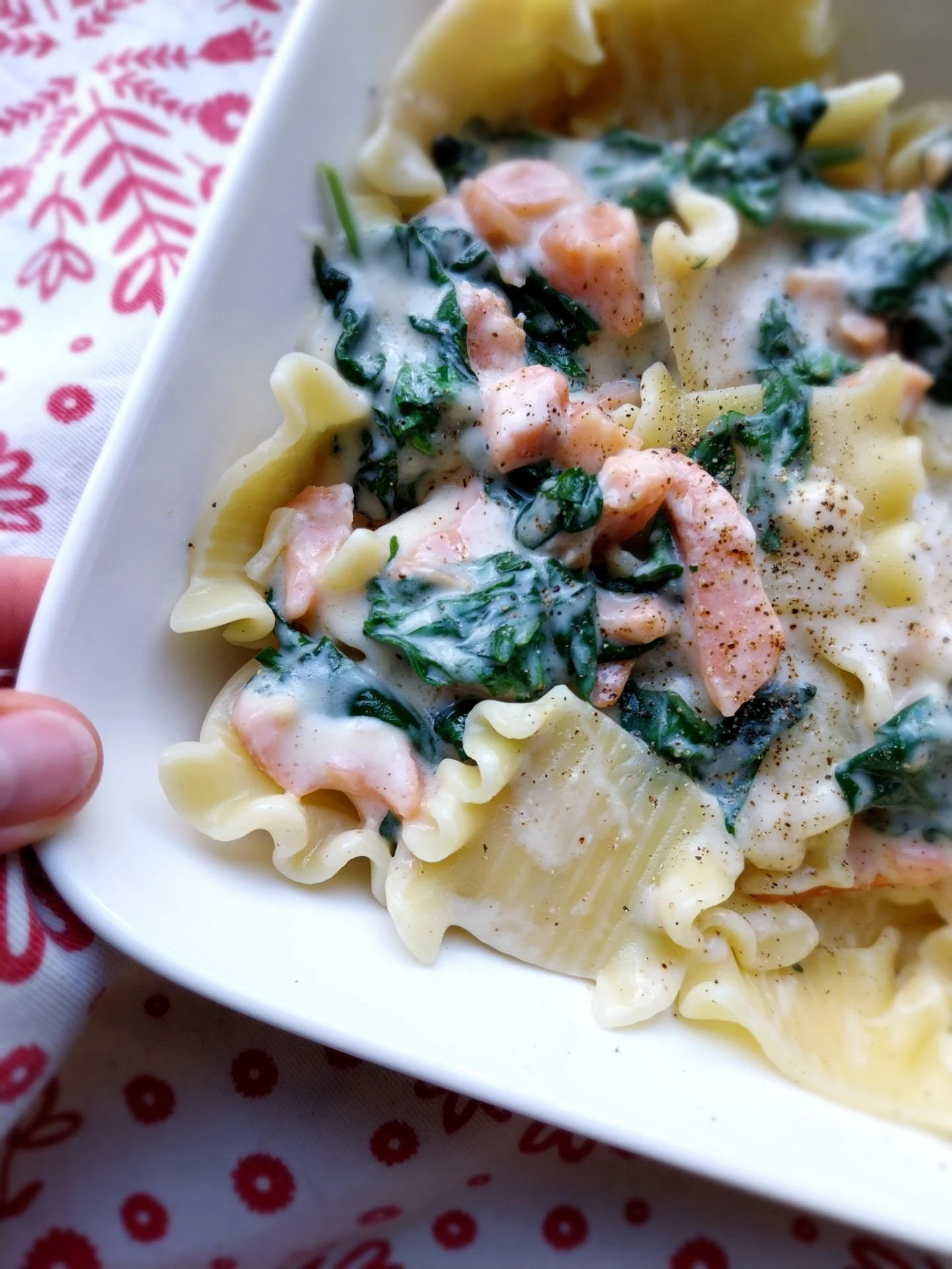 Pasta met zalmblokjes, spinazie en kaassaus