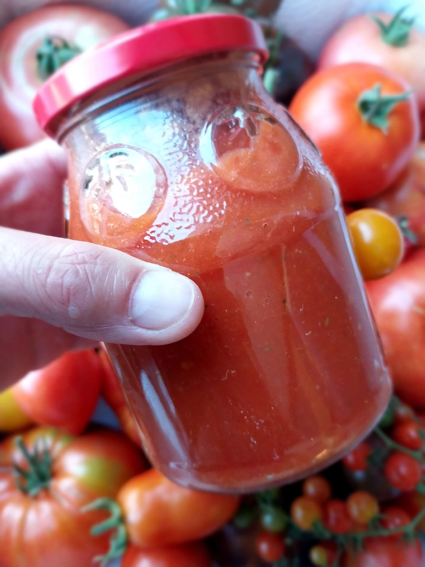 Geroosterde tomatensaus