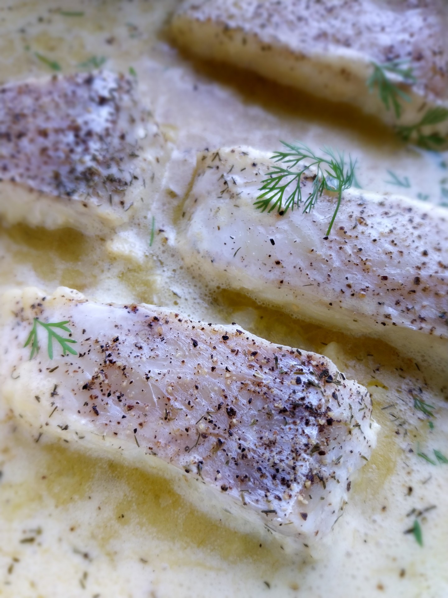Kabeljauw met dillesaus