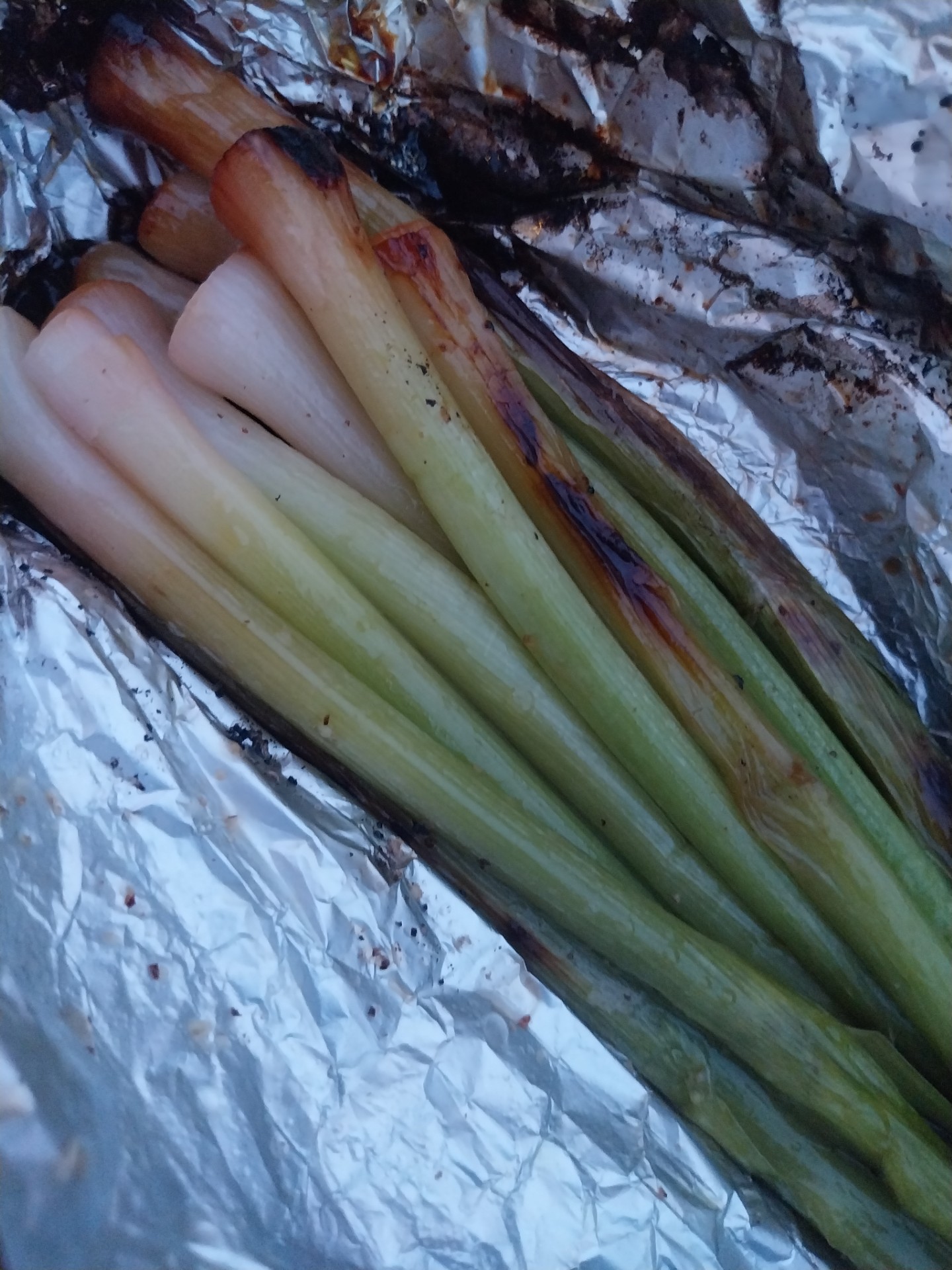 Gegrilde jonge prei op de BBQ